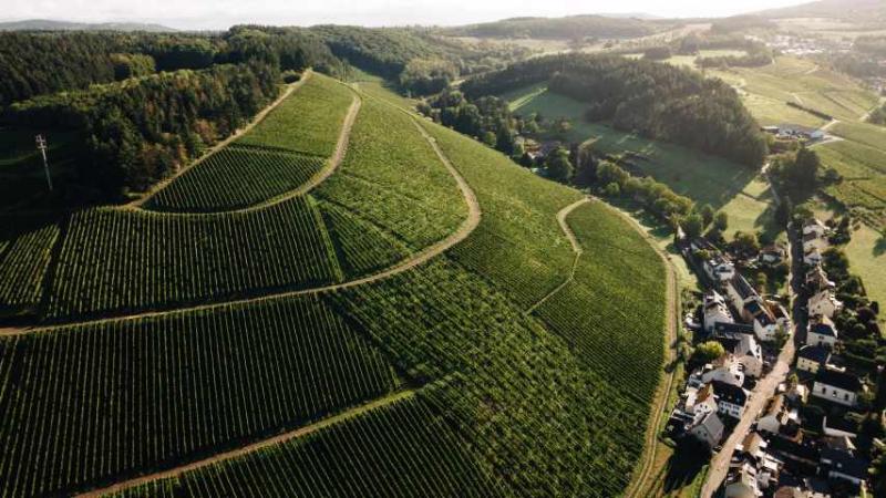 Karhäuserhofberg GG